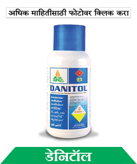 know about sumitomo danitol in marathi