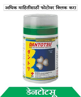 know about sumitomo dantotsu in marathi