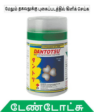 know about sumitomo dantotsu in tamil