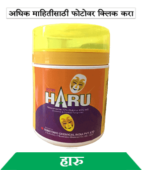 know about sumitomo haru in marathi
