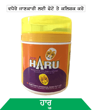 know about sumitomo haru in punjabi