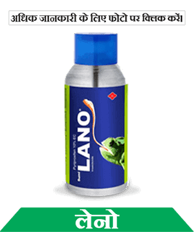 know about sumitomo lano in hindi