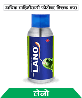 know about sumitomo lano in marathi