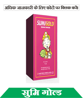 know about sumitomo sumigold in hindi