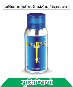 know about sumitomo sumipleo in marathi