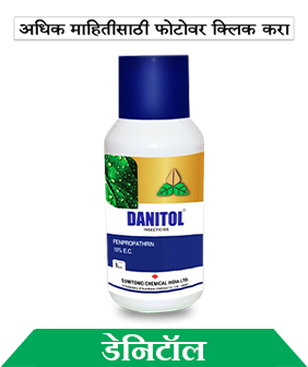 know about sumitomo danitol in marathi