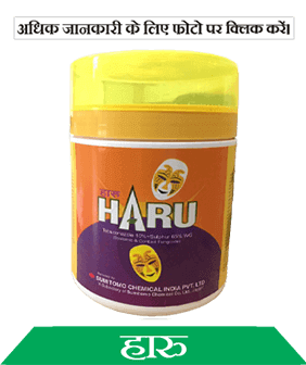 know about sumitomo haru in hindi